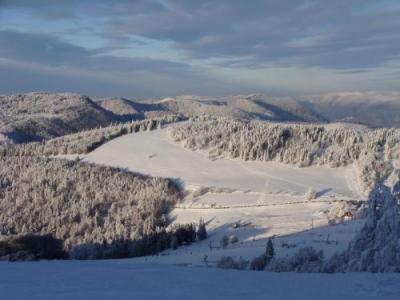 Gite Des 3 Jonquilles Saint-Maurice-sur-Moselle Exterior foto